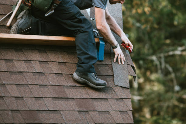 Best Gutter Installation and Repair  in Wacousta, MI